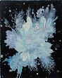 05nebula17205