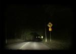 lovers LANE michael toke